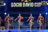 Sochi David Cup - 2017