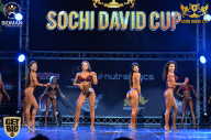 Sochi David Cup - 2017