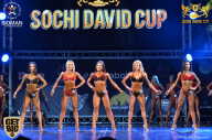 Sochi David Cup - 2017