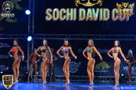 Sochi David Cup - 2017