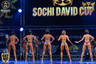 Sochi David Cup - 2017