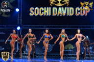 Sochi David Cup - 2017