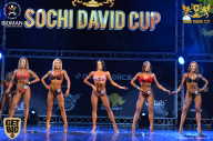 Sochi David Cup - 2017