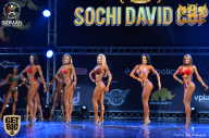 Sochi David Cup - 2017