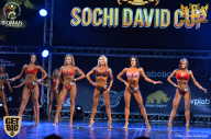 Sochi David Cup - 2017