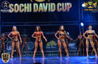 Sochi David Cup - 2017