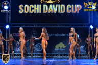 Sochi David Cup - 2017