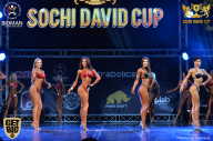 Sochi David Cup - 2017