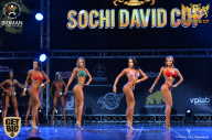 Sochi David Cup - 2017