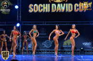 Sochi David Cup - 2017