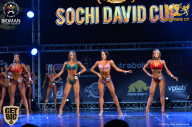 Sochi David Cup - 2017