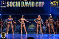 Sochi David Cup - 2017