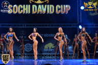 Sochi David Cup - 2017