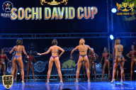 Sochi David Cup - 2017