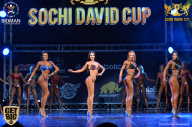 Sochi David Cup - 2017