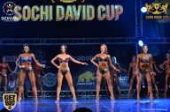 Sochi David Cup - 2017