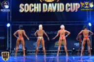 Sochi David Cup - 2017