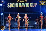 Sochi David Cup - 2017