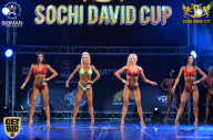 Sochi David Cup - 2017