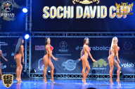 Sochi David Cup - 2017