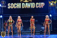 Sochi David Cup - 2017