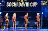 Sochi David Cup - 2017