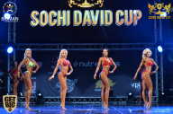 Sochi David Cup - 2017