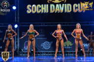 Sochi David Cup - 2017