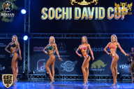 Sochi David Cup - 2017