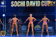 Sochi David Cup - 2017