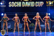 Sochi David Cup - 2017