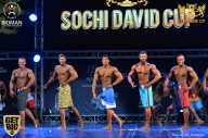 Sochi David Cup - 2017