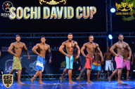 Sochi David Cup - 2017