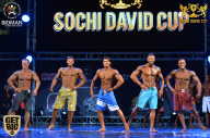 Sochi David Cup - 2017