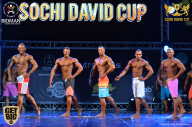 Sochi David Cup - 2017