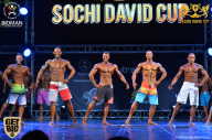 Sochi David Cup - 2017