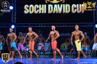 Sochi David Cup - 2017