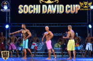 Sochi David Cup - 2017