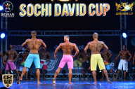 Sochi David Cup - 2017