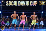 Sochi David Cup - 2017