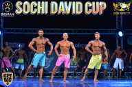 Sochi David Cup - 2017