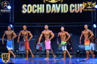 Sochi David Cup - 2017