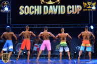 Sochi David Cup - 2017