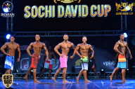 Sochi David Cup - 2017