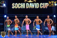 Sochi David Cup - 2017