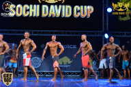 Sochi David Cup - 2017