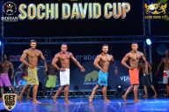 Sochi David Cup - 2017