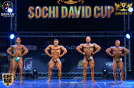 Sochi David Cup - 2017