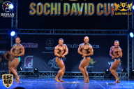 Sochi David Cup - 2017