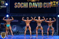 Sochi David Cup - 2017